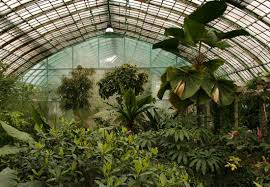 Botanical Gardens In Paris Un Jour De