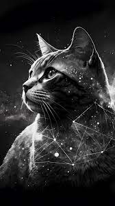 cat stars constellation digital art 4k