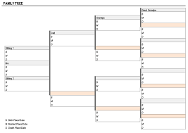 family tree template the spreadsheet page