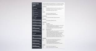 Artist Resume Template Guide 20 Examples Skills
