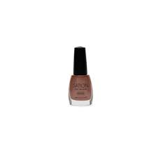victoria nail supply sation pecan frost