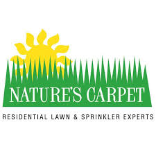 nature s carpet lawncare englewood