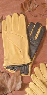 gardening gloves gold leaf dry touch