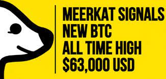 Investing in any financial market requires a lot of dedication, analysis, knowledge, techniques. Meerkat Crypto Signals Discord Me