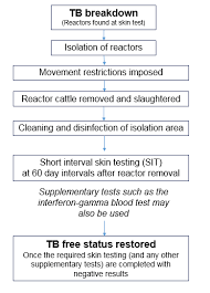 What Happens When Tb Is Suspected Or Confirmed In A Cattle