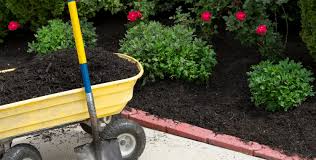 what-are-the-disadvantages-of-mulching