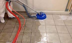 tile grout cleaning epoxy color