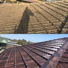Top Quality Terracotta Roof Restoration