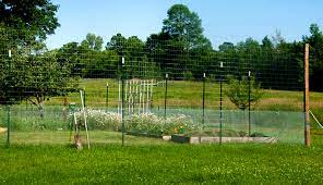 simple effective garden fence