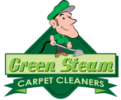 green steam carpet cleaners