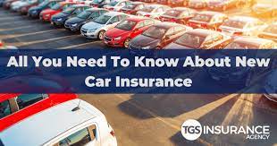TGS Insurance Agency gambar png