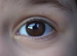 Los 10 consejos más importantes para salvar su visión. 10 Simple Eye Care Tips For Children Parentcircle