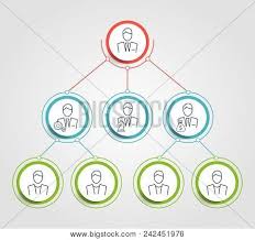 Business Hierarchy Vector Photo Free Trial Bigstock