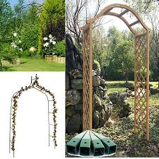 garden arch rose arch plant growing