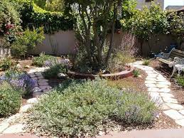 Los Angeles Native Plant Garden Example