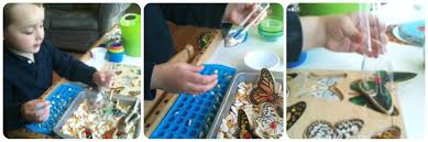 Butterfly facts if you have ever seen a blossoming tree in the spring, or been in a flower garden, then there is no doubt that you have also seen a butterfly. Butterfly Sensory Play Spring Fine Motor Activities