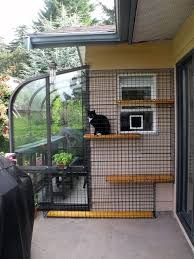 51 outdoor cat enclosures your cat will