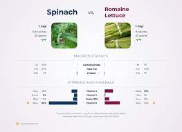 spinach vs romaine lettuce