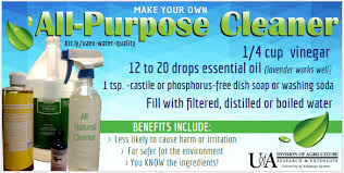 clean and green homemade cleaners how