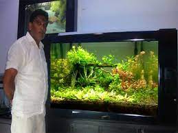 Aquarium Design India gambar png