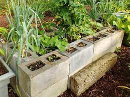 raised bed vegetable garden concrete