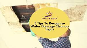 water damage cleanup signs