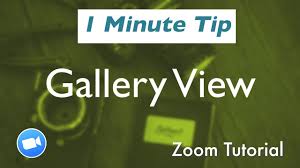 zoom tutorial how to access gallery