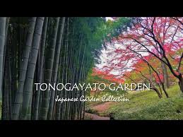 Autumn Foliag Tour Of Japanese Garden