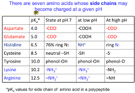 Proline At Ph 7 Google Search Amino Acids Biochemistry