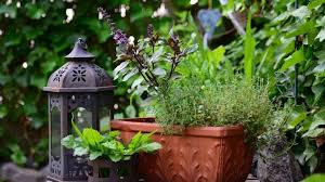 6 organic tips for the balcony garden
