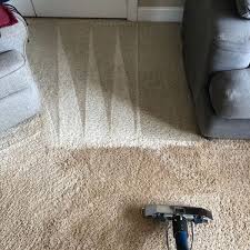 the 1 rug cleaning expert in knoxville