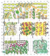 Garden Layout Vegetable Garden