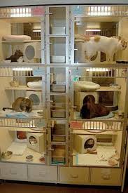 His cats' food costs about $72 per year, he said, even though it's name brand. 90 Dog Boarding Ideas Dog Boarding Dog Kennel Dog Daycare