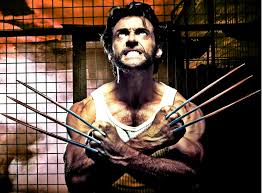 After all, there is a wolverine and a dali. Hugh Jackman Hd Wallpaper Wolverine Human Facial Hair Beard Fictional Character 186504 Wallpaperuse