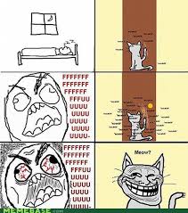 Without something to scratch on, you'll find your cat scratching walls. Troll Cat Memebase Funny Memes