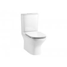 two piece dual flush washdown toilet