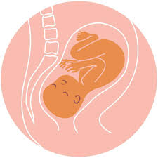 Baby OA position in womb. 