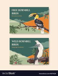 facebook template with hornbill bird
