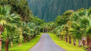 botanical gardens in o ahu hawaii