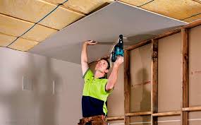 Is Mold Resistant Drywall Worth It