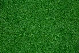 Fake Grass Images Browse 13 408 Stock