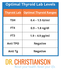 Update Testing Your Thyroid And The Definitive Guide To