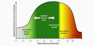 How To Measure Ketosis How Do You Know If You Are In Ketosis