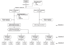 Flow Chart Of The Study Protocol Fsh Follicle Stimulating