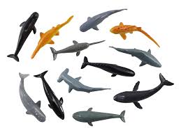 miniature sharks and whales ocean
