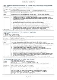 Project Manager Resumes New Information Technology Resume Examples