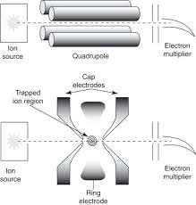 Ion Motion An Overview