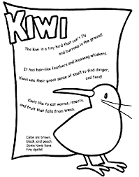Free printable coloring pages and book for kids. Kiwi Coloring Page Crayola Com