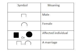 in pedigree ysis symbol is used