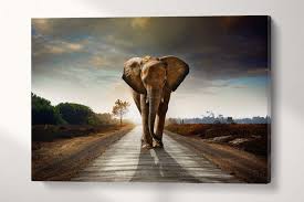 Wild Elephant Walking Wall Art Canvas
